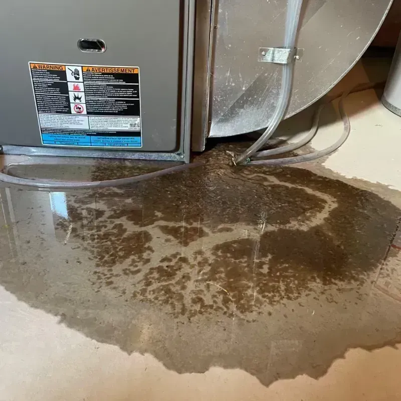 Appliance Leak Cleanup in Berwyn, IL